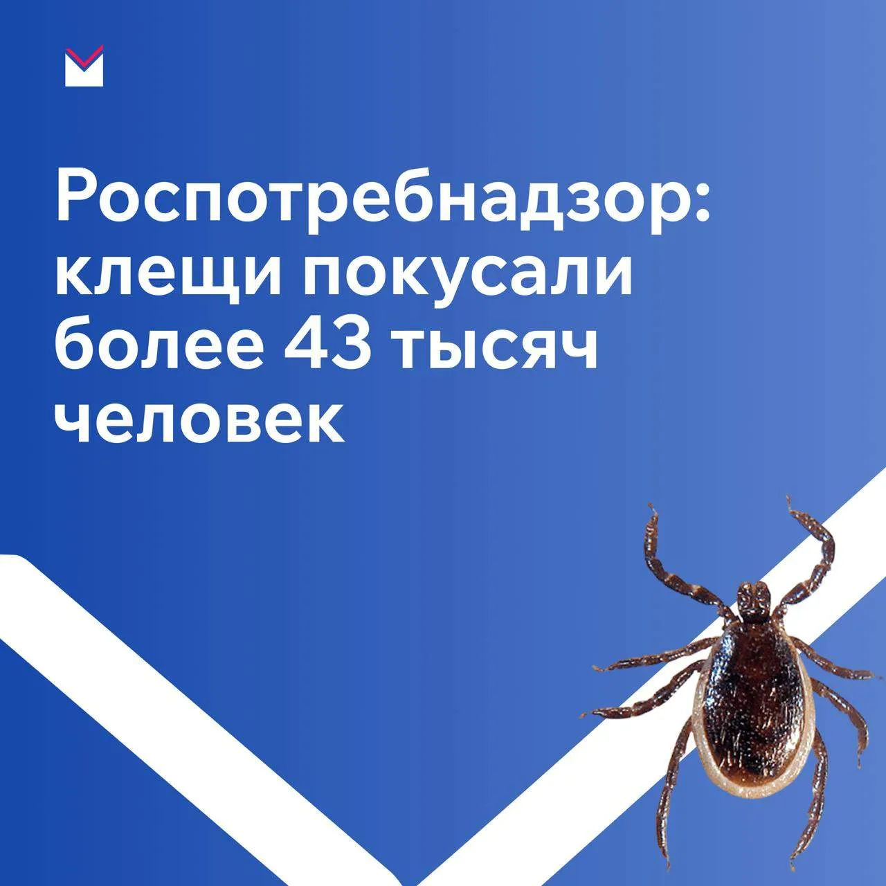 В Роспотребнадзоре сообщают — более 43 000 человек обратилось в медицинские учреждения ...