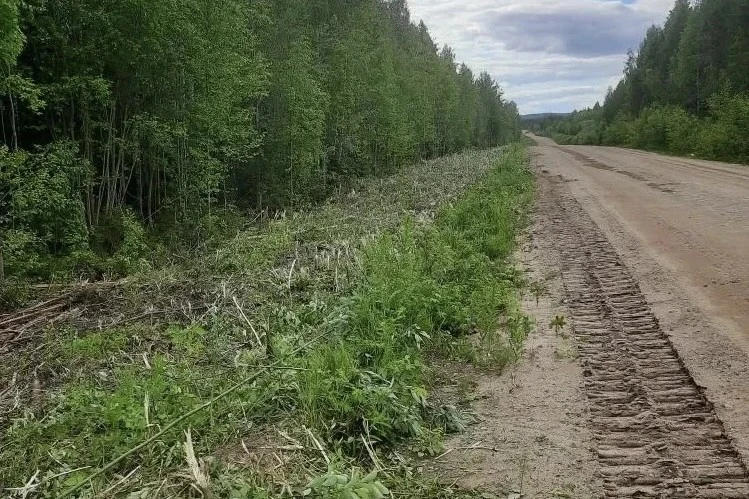 Продолжается ремонт дороги из Архангельской области в Коми

В этом сезоне приведут в порядок участок