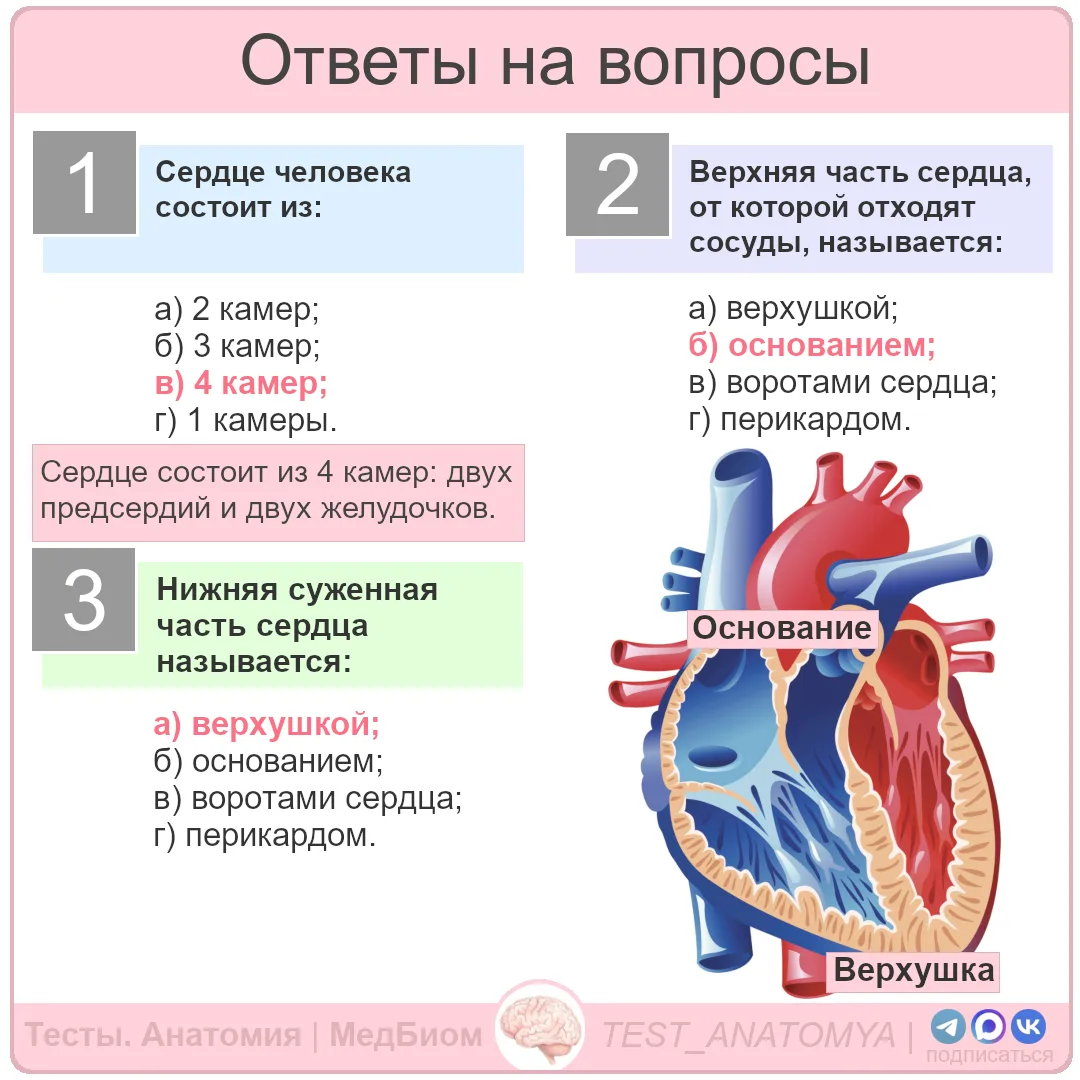 ⬆️ Ответы на вопросы