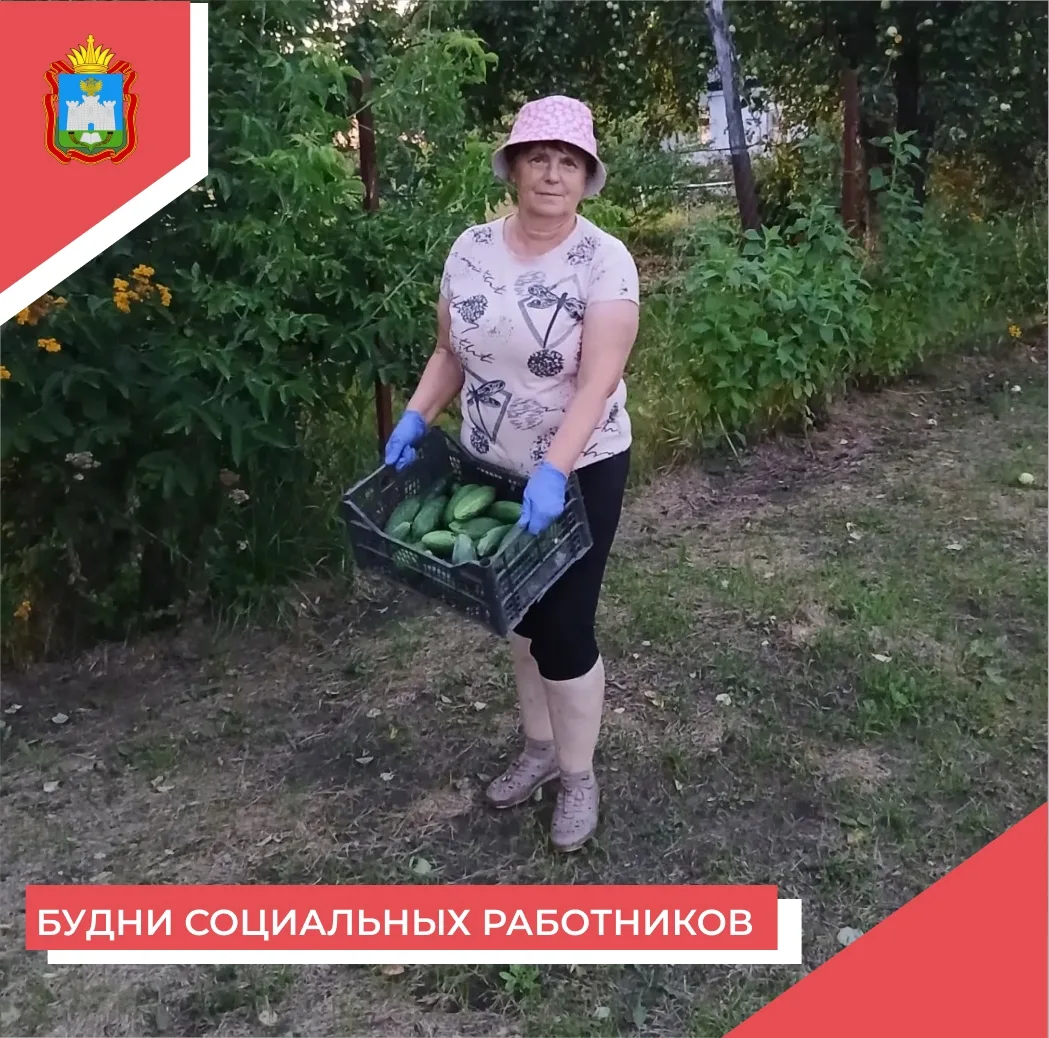 🍎 СБОР УРОЖАЯ