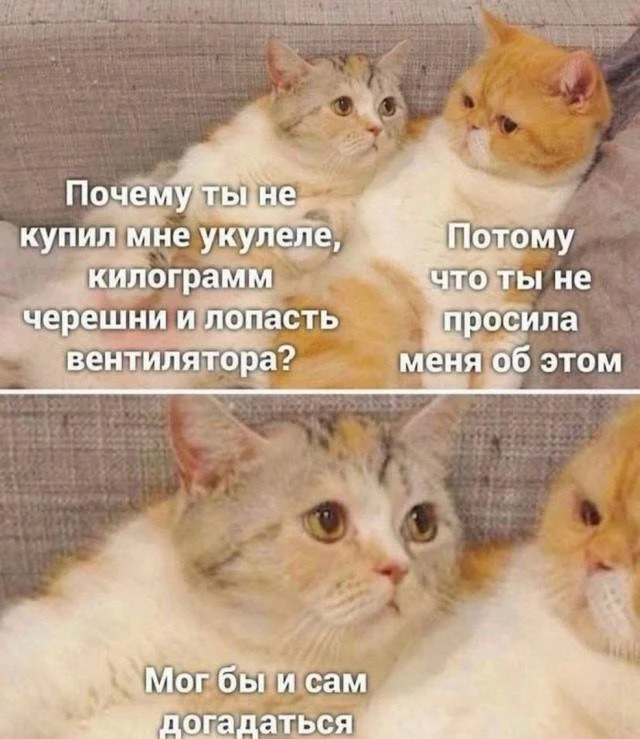 Кукуха в отъезде 🐦