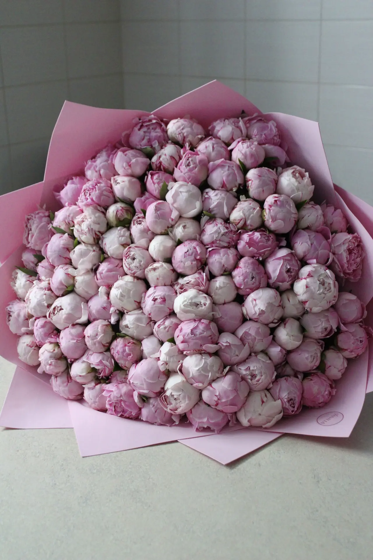 101 пион 🌸