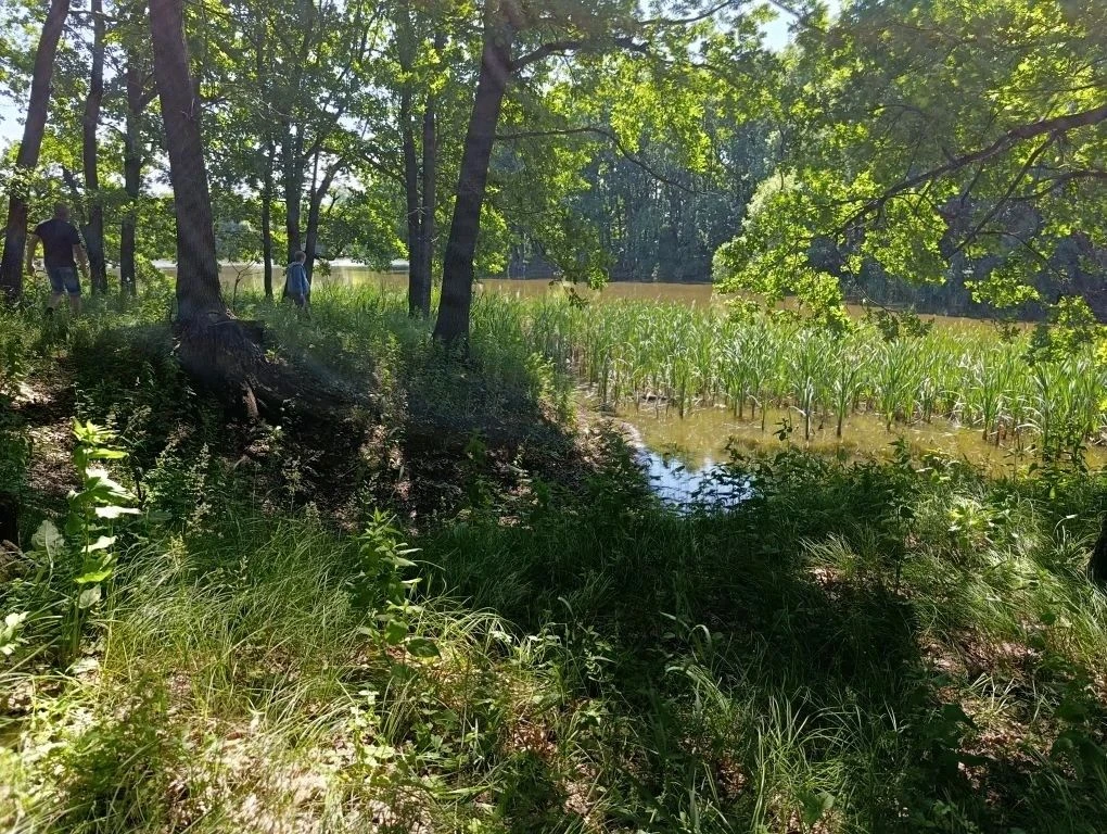 📌Сегодня учителя нашего посёлка провели рейд на местном водоёме. Цель — проверить обст...
