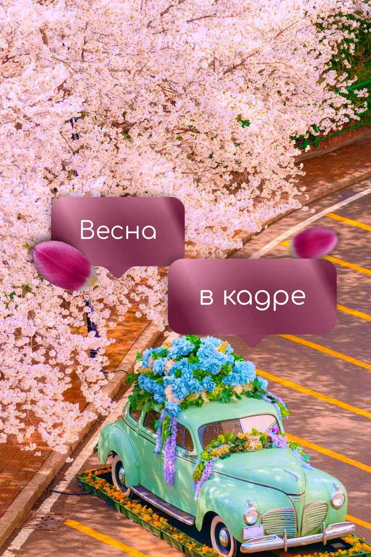 Весна — это когда всё вокруг расцветает, и особенно волшебно выглядит сакура. 😍