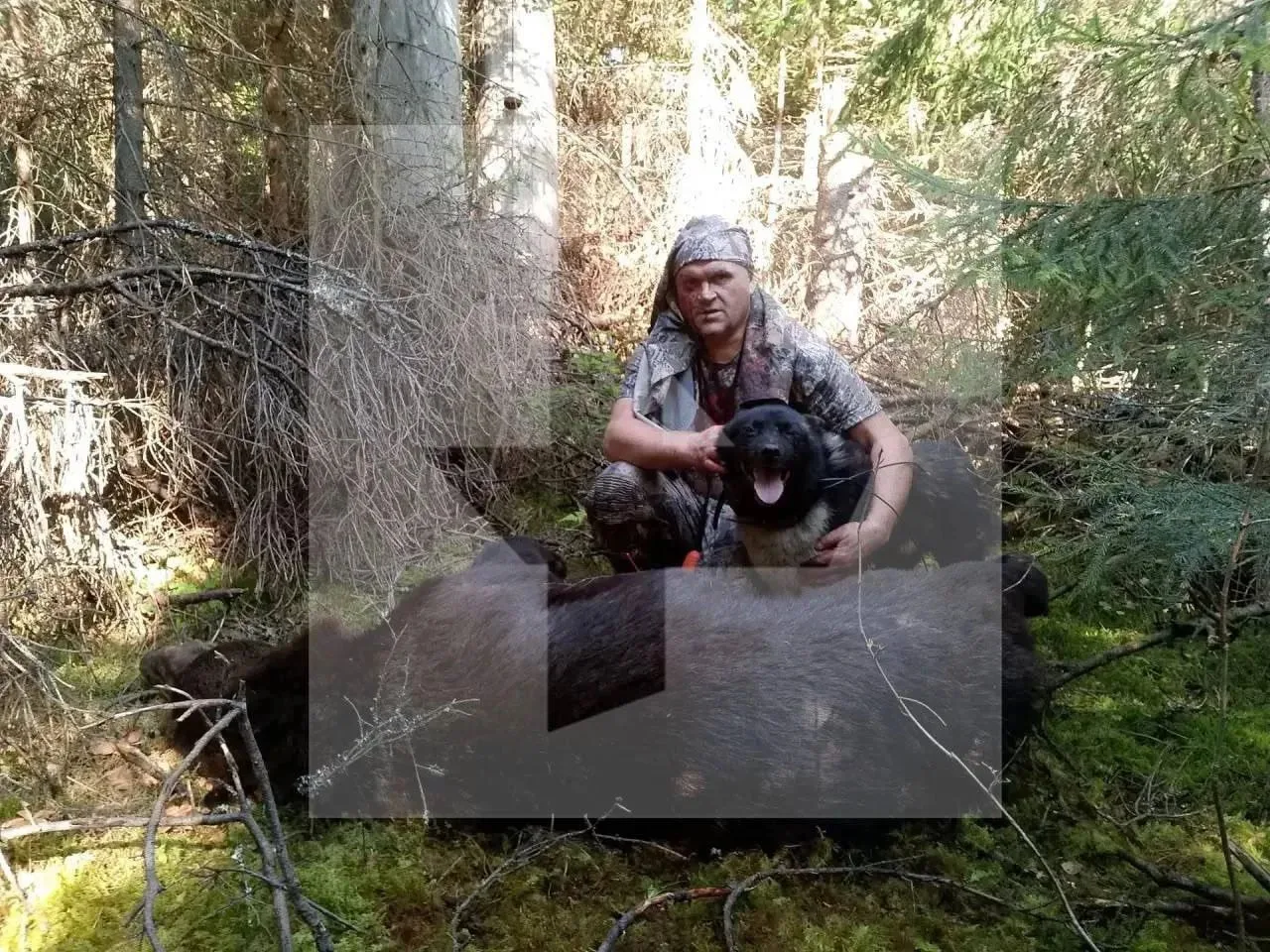 🐻В лесах Новгородской области охотник чудом выжил после нападения раненой медведицы бл...