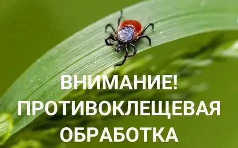 ☀☀☀Сегодня после 14.00 часов на городском стадионе г.Нестерова будет проводиться противоклещевая обр