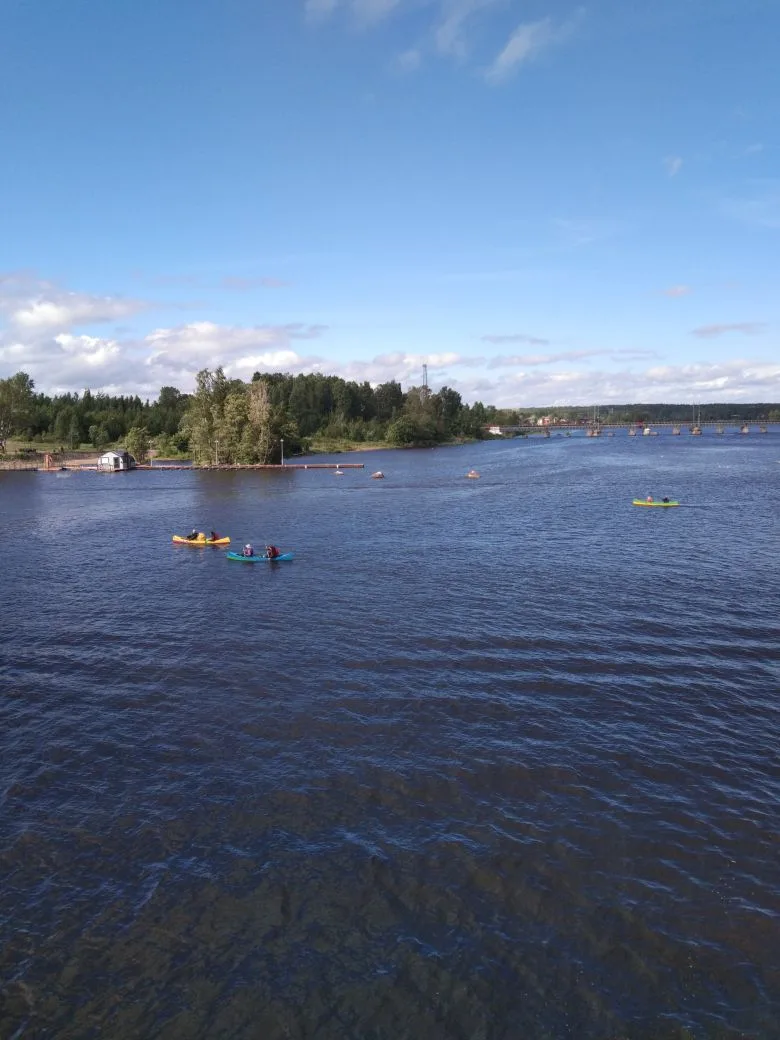 Коротко о погоде🌅 

Сегодня без осадков, облачно👍 Днём воздух прогреется до +18, ветер северо-запа