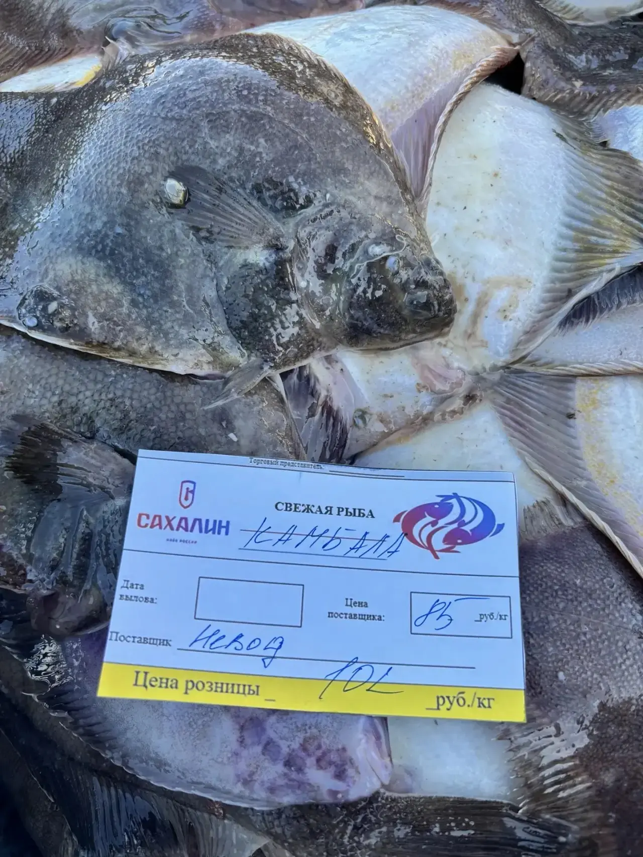 🦭 Уважаемые жители Невельского района!