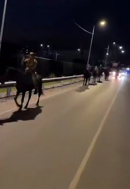12 всадников из Татарстана доехали до Башкирии верхом: три дня, палатки и сигналы из машин