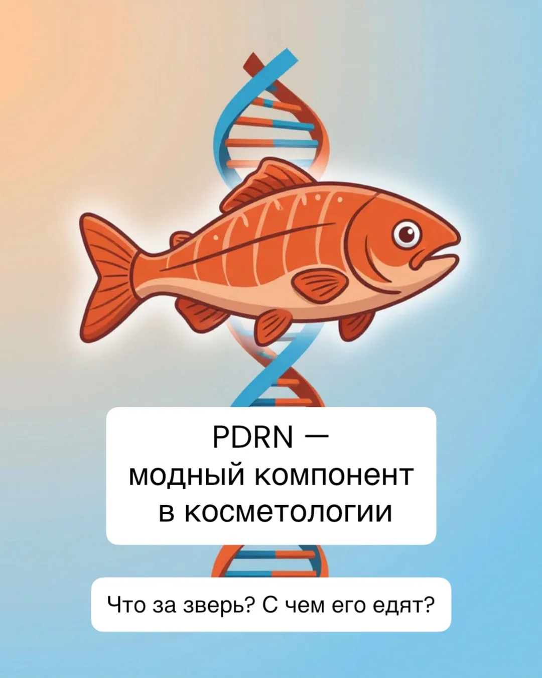 PDRN — модный компонент в косметологии
Что за зверь? С чем его едят?

Если совсем просто, PDRN — это