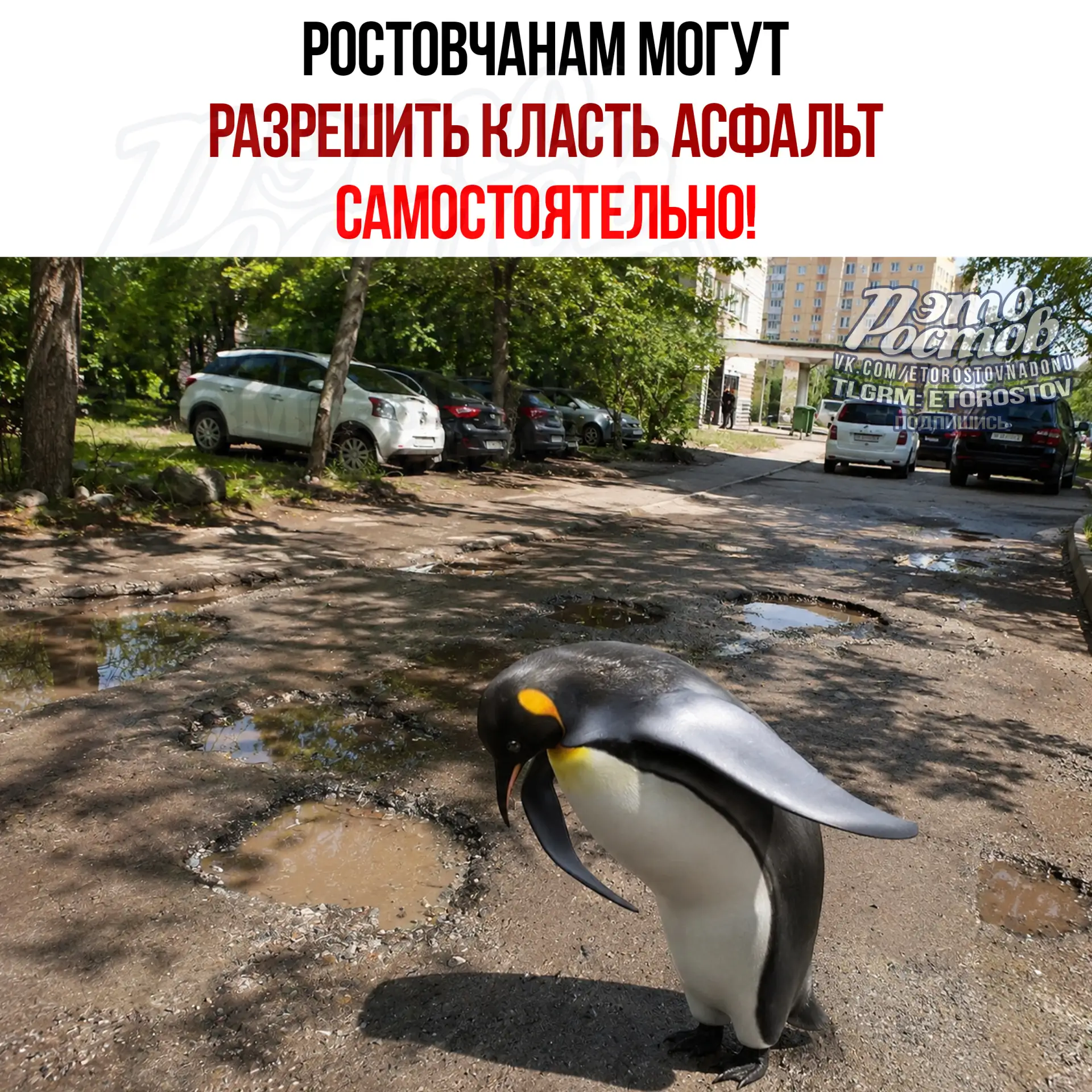 🕳 Депутаты хотят разрешить жителям самим класть асфальт во дворах. Спасибо, очень щедро.