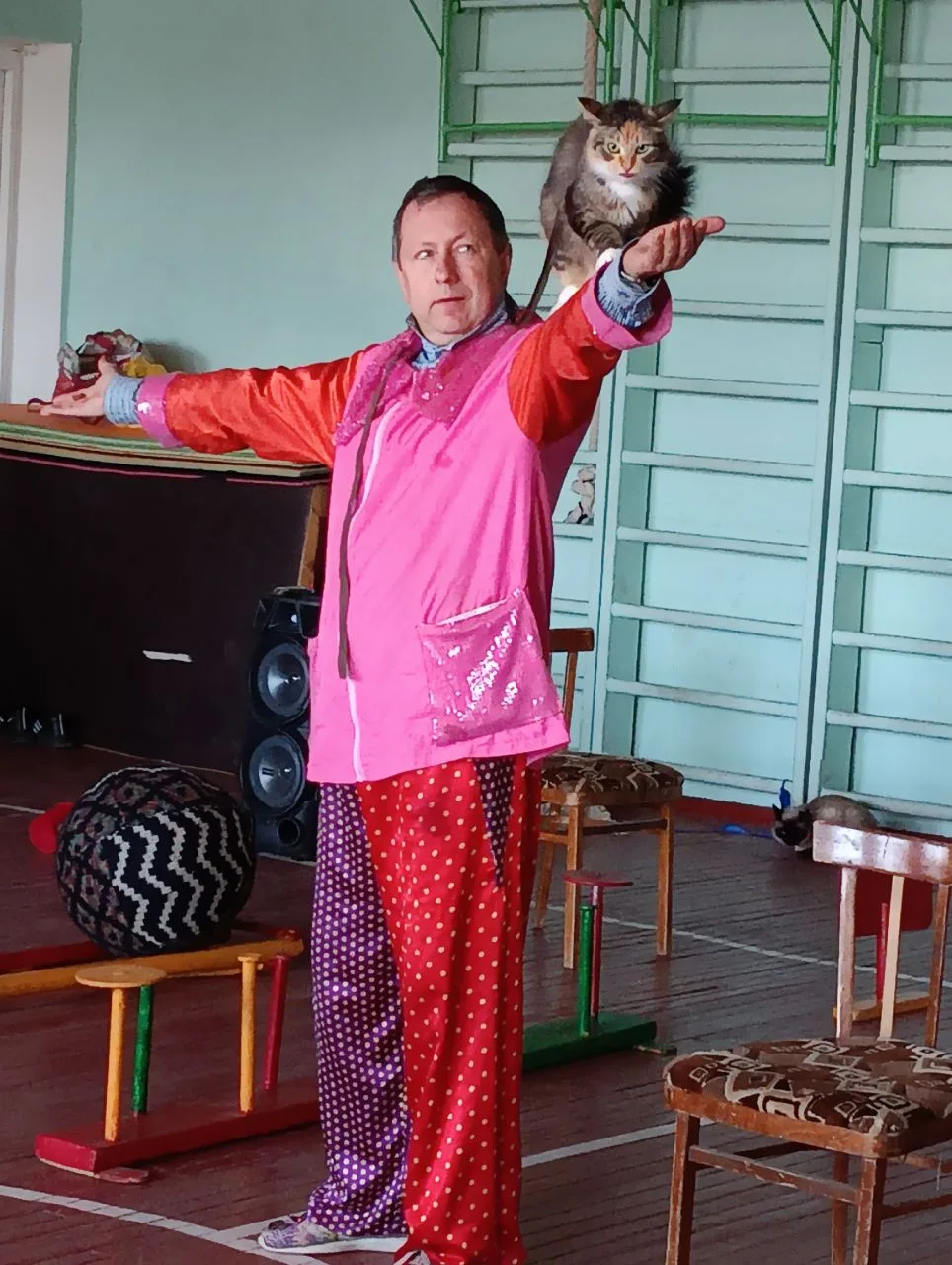 🐾 Пушистые артисты в гостях у нашей школы! 🐱