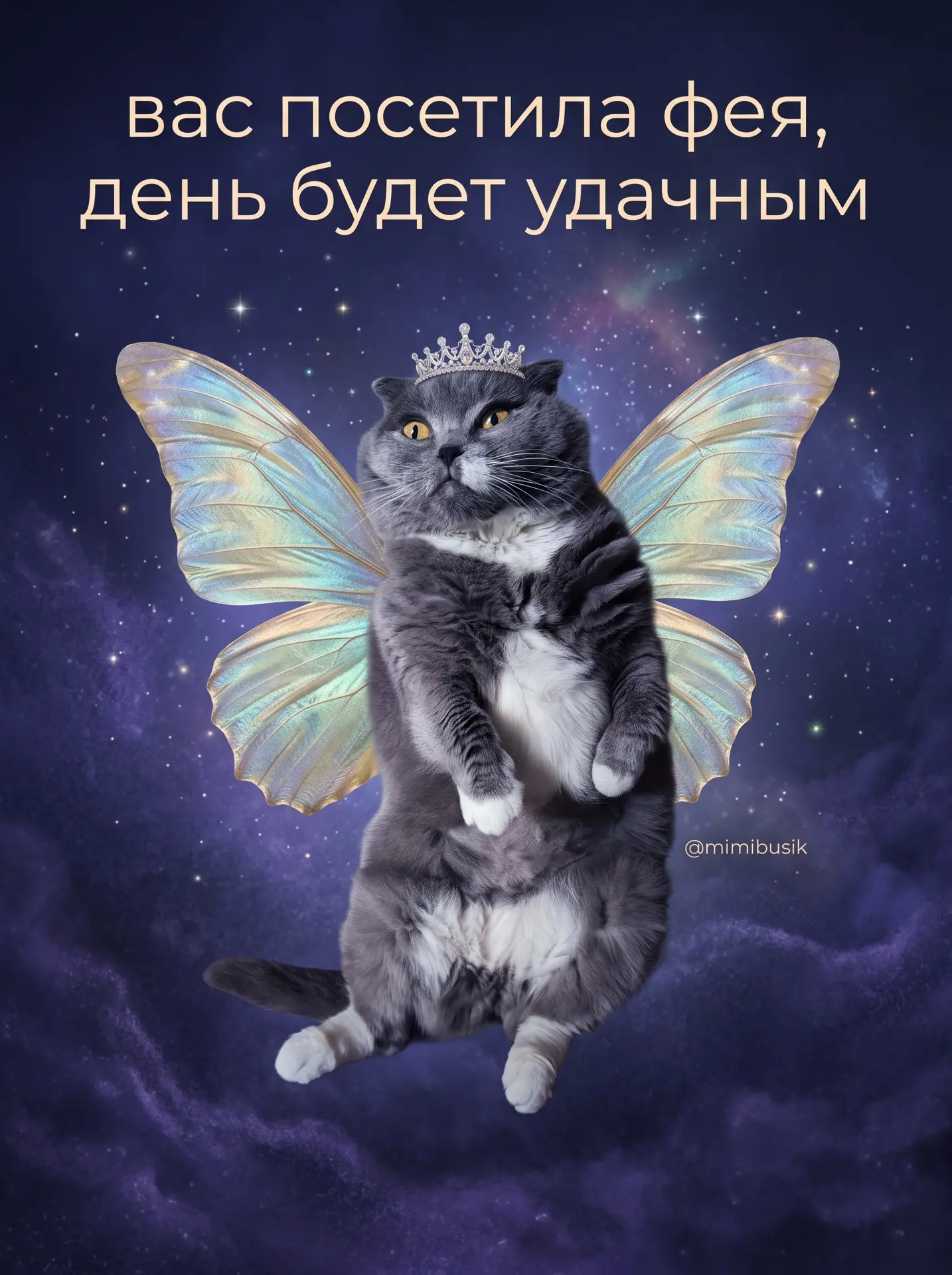 Официально заряжаю этот пост на хорошие новости ✨