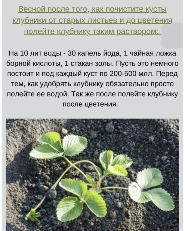 НАШИ КАНАЛЫ:
