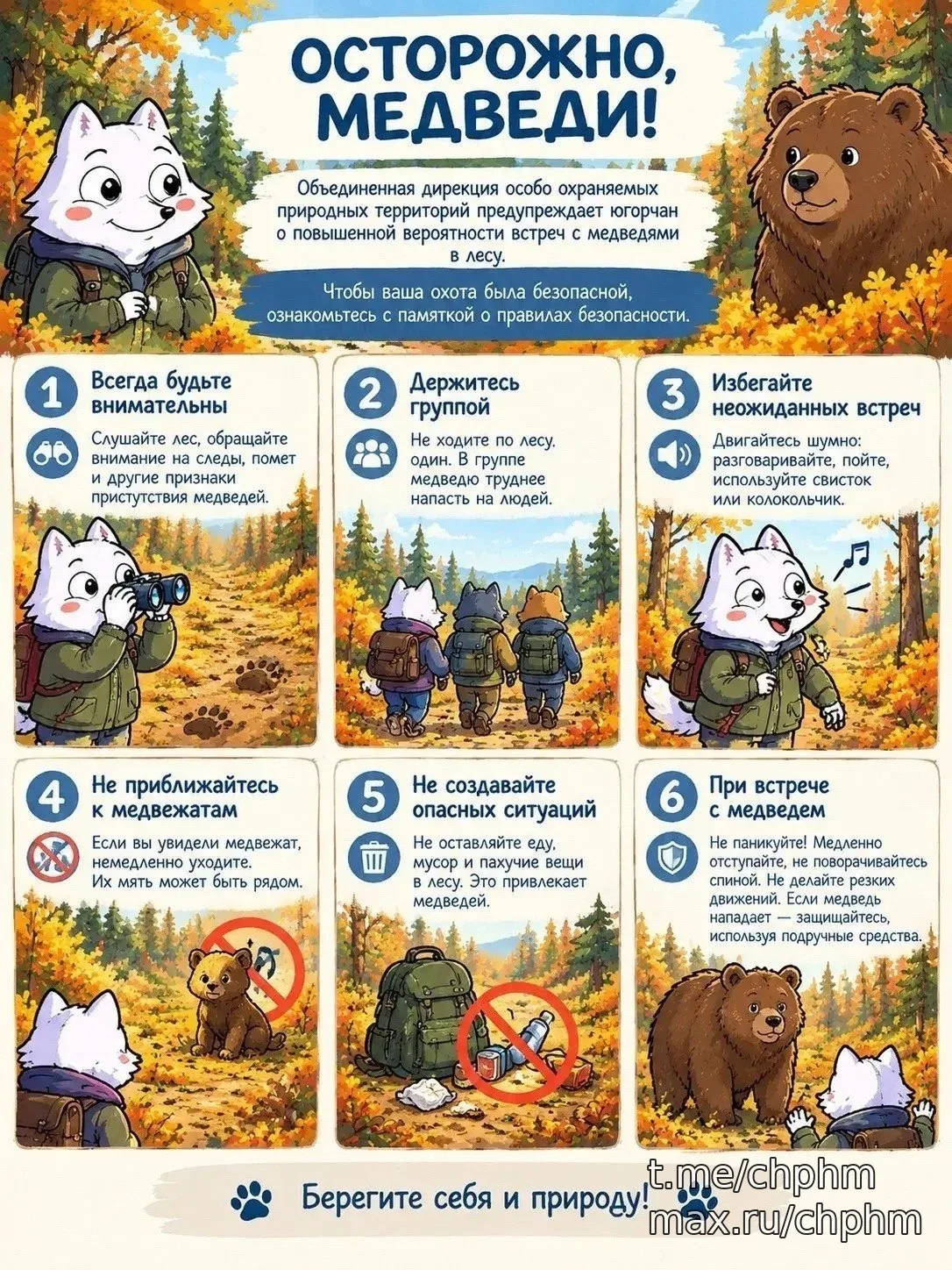 🚨 Югорчан предупредили о медведях в лесу