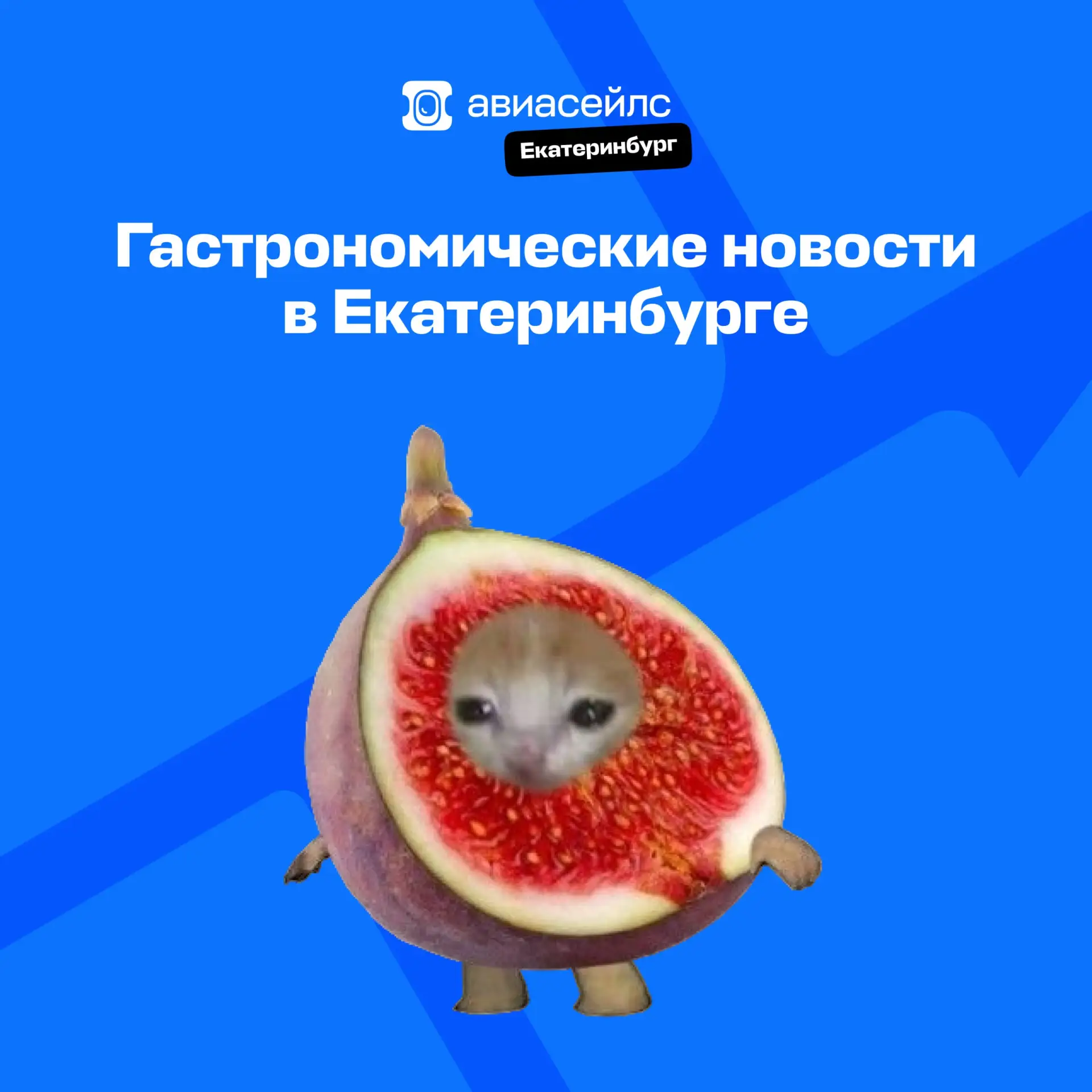 Гастро-бинго на первые осенние выходные 🍂