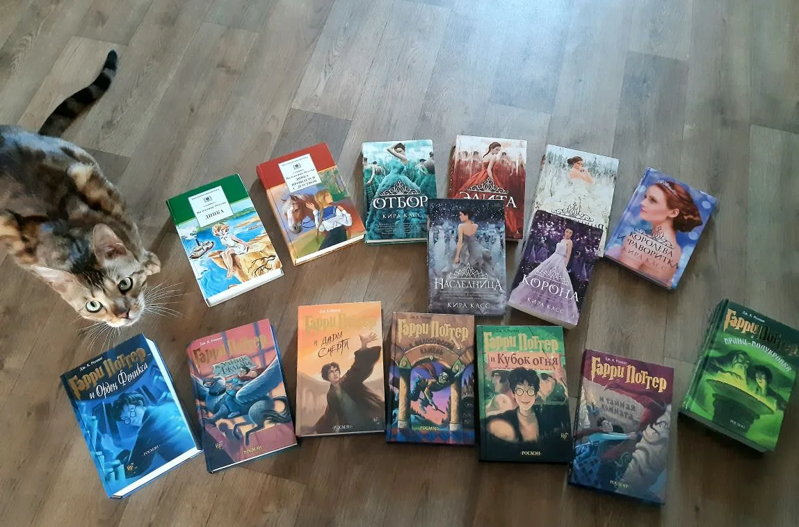 "Любимые книги..."📚