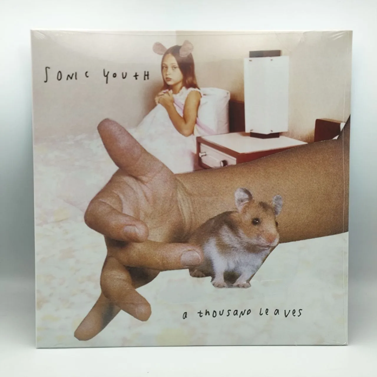 Sonic Youth - A Thousand Leaves