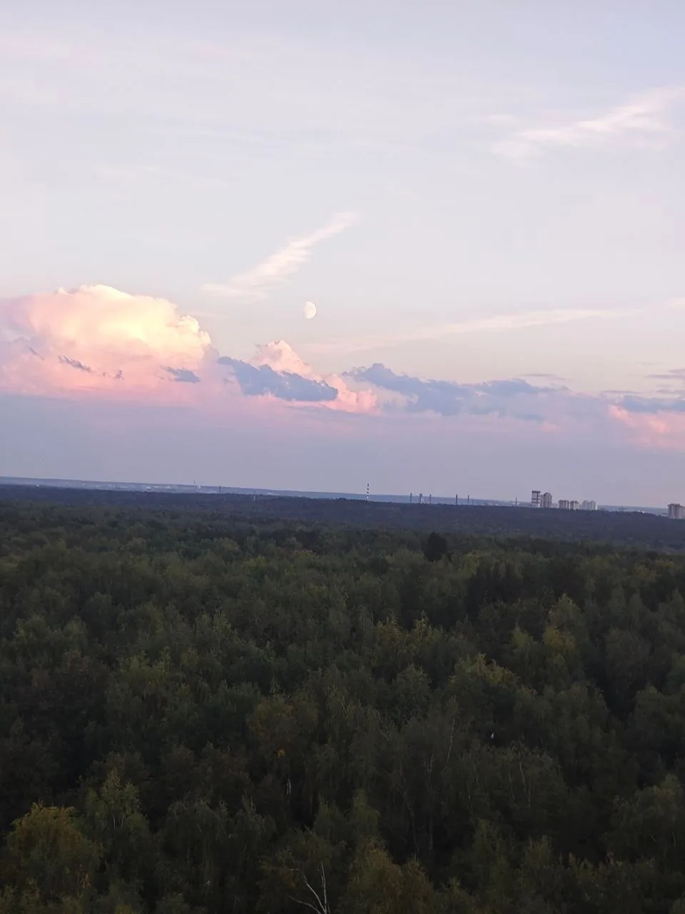 Добрых снов!