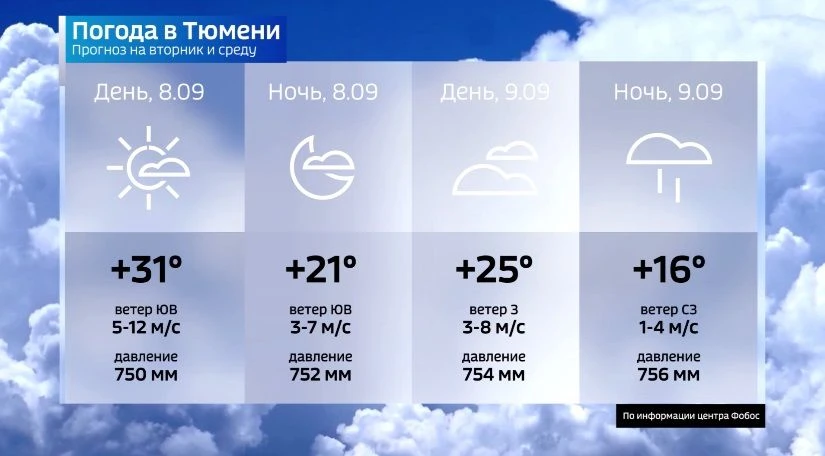 На максимуме