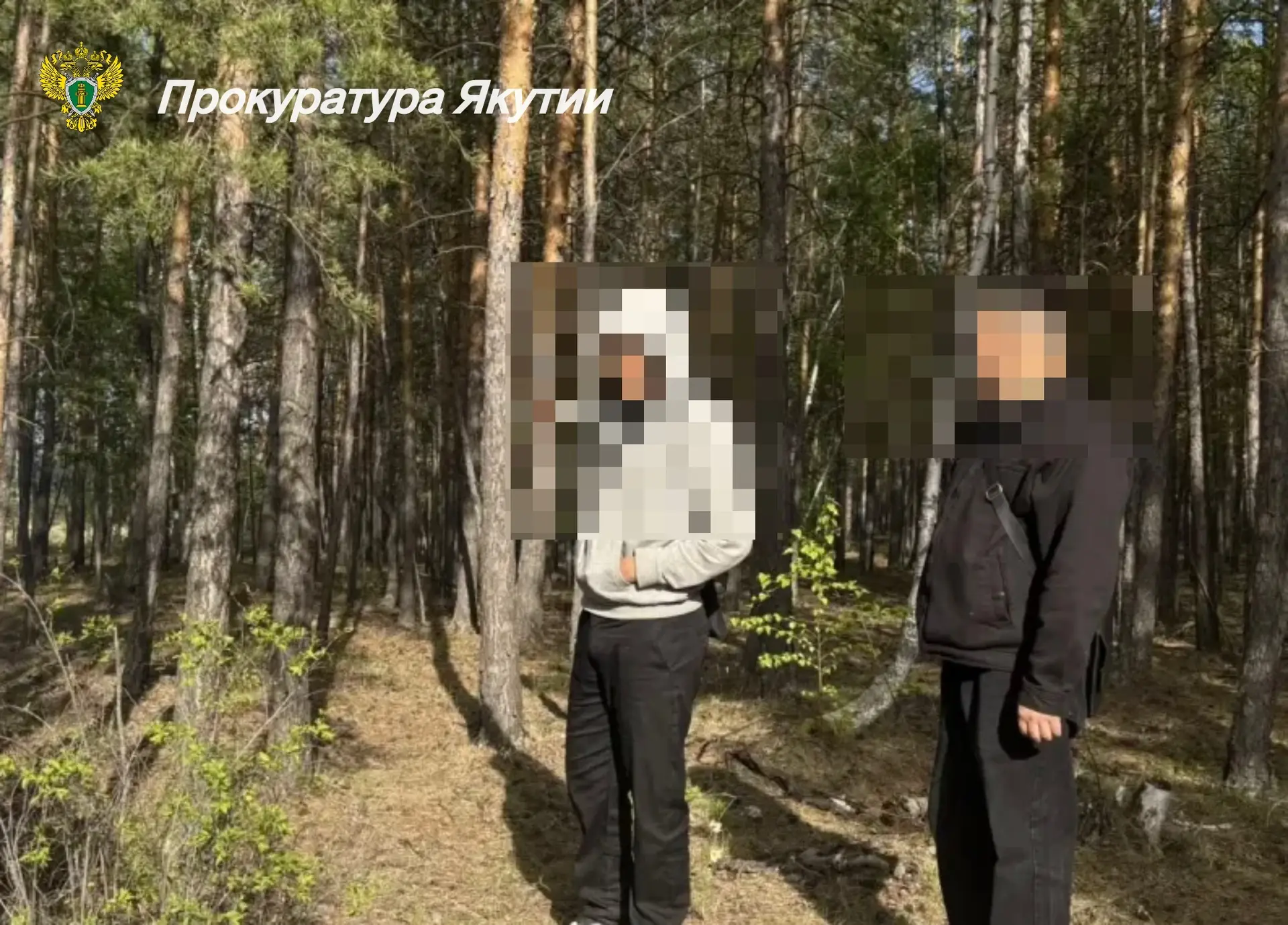 ❗️ В г. Якутске перед судом предстанет подросток, обвиняемый в покушении на незаконный сбыт наркотик