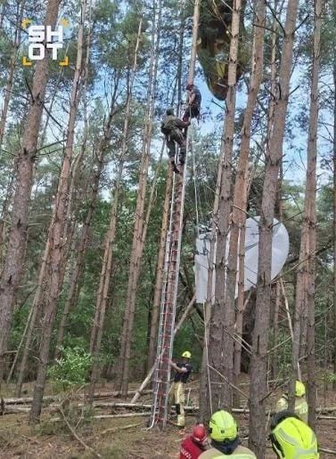 Десантников НАТО пришлось спасать во время учений в Бельгии — парашютисты не смогли при...