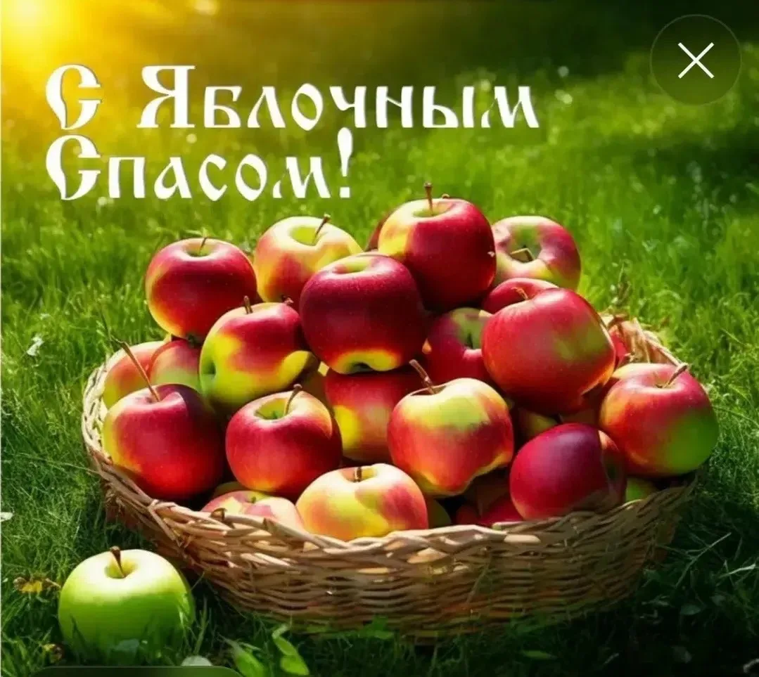 Сегодня в нашей группе 1 царила атмосфера тепла и уюта- мы отмечали Яблочный Спас! Этот...