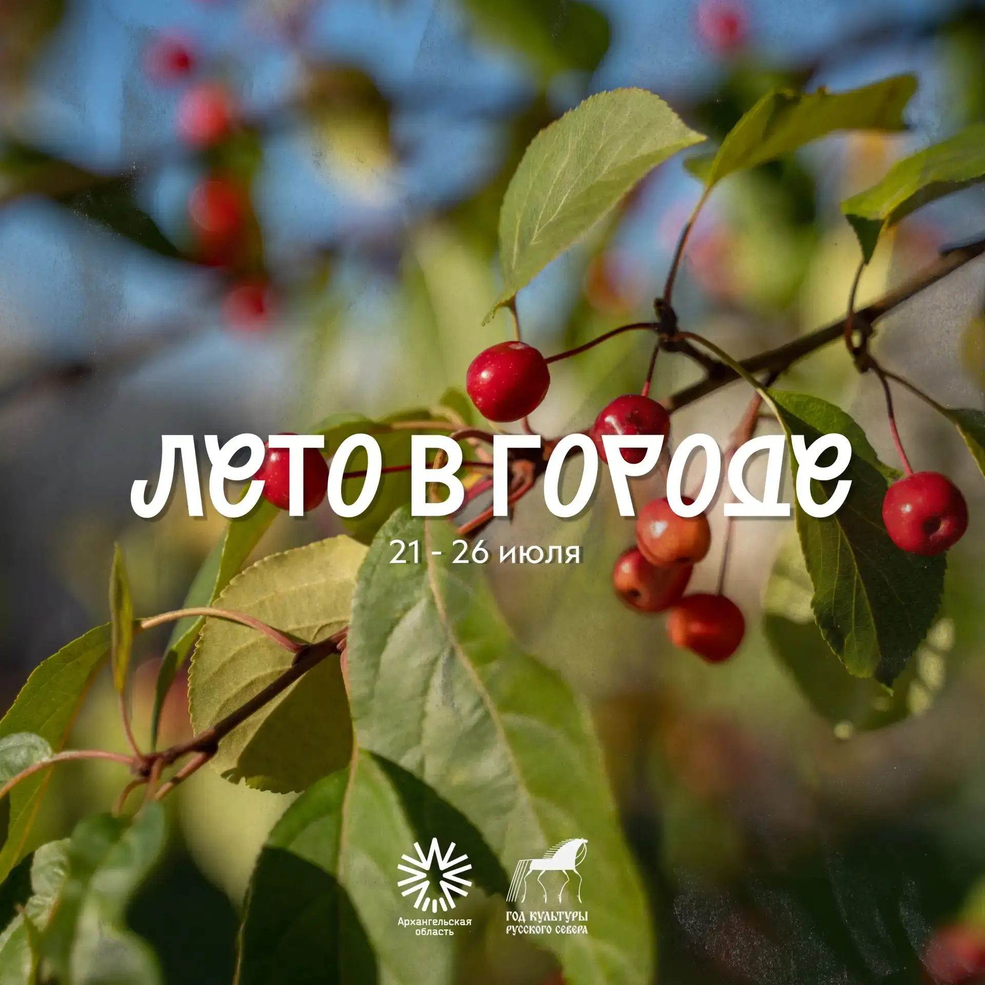 Летние вечера становятся еще интереснее! ☀️

Впереди новая неделя городских событий в рамках Года ку