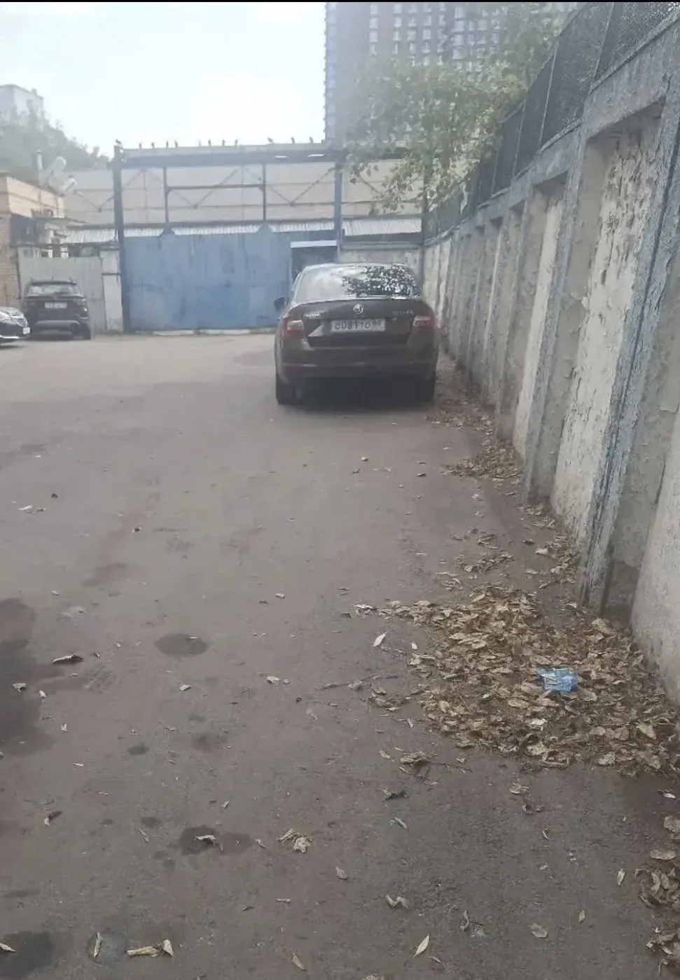 До/после