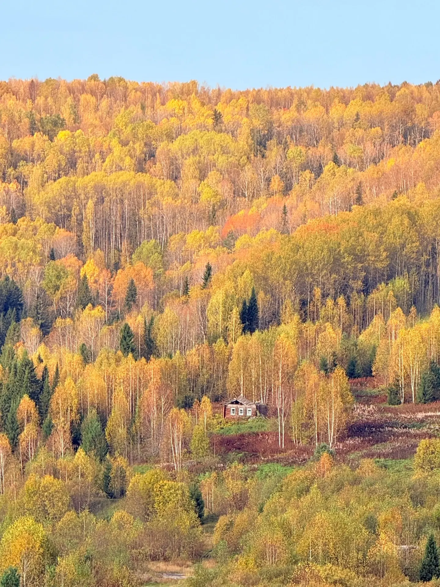 Эстетика осеннего Красновишерска 🍁