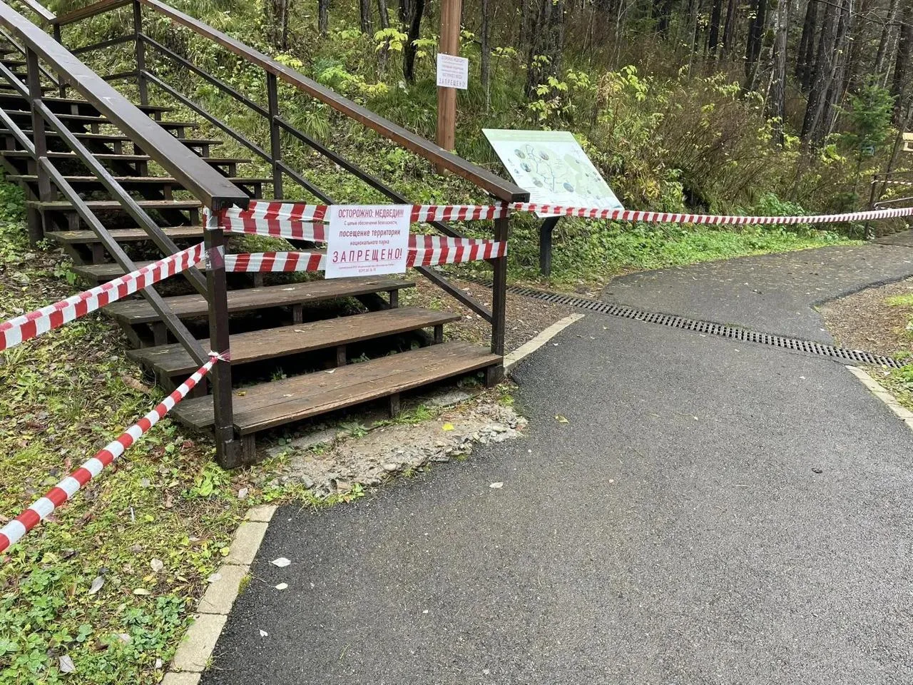 В красноярских Столбах сохраняется запрет на посещение из-за медведей, которые выходят ...