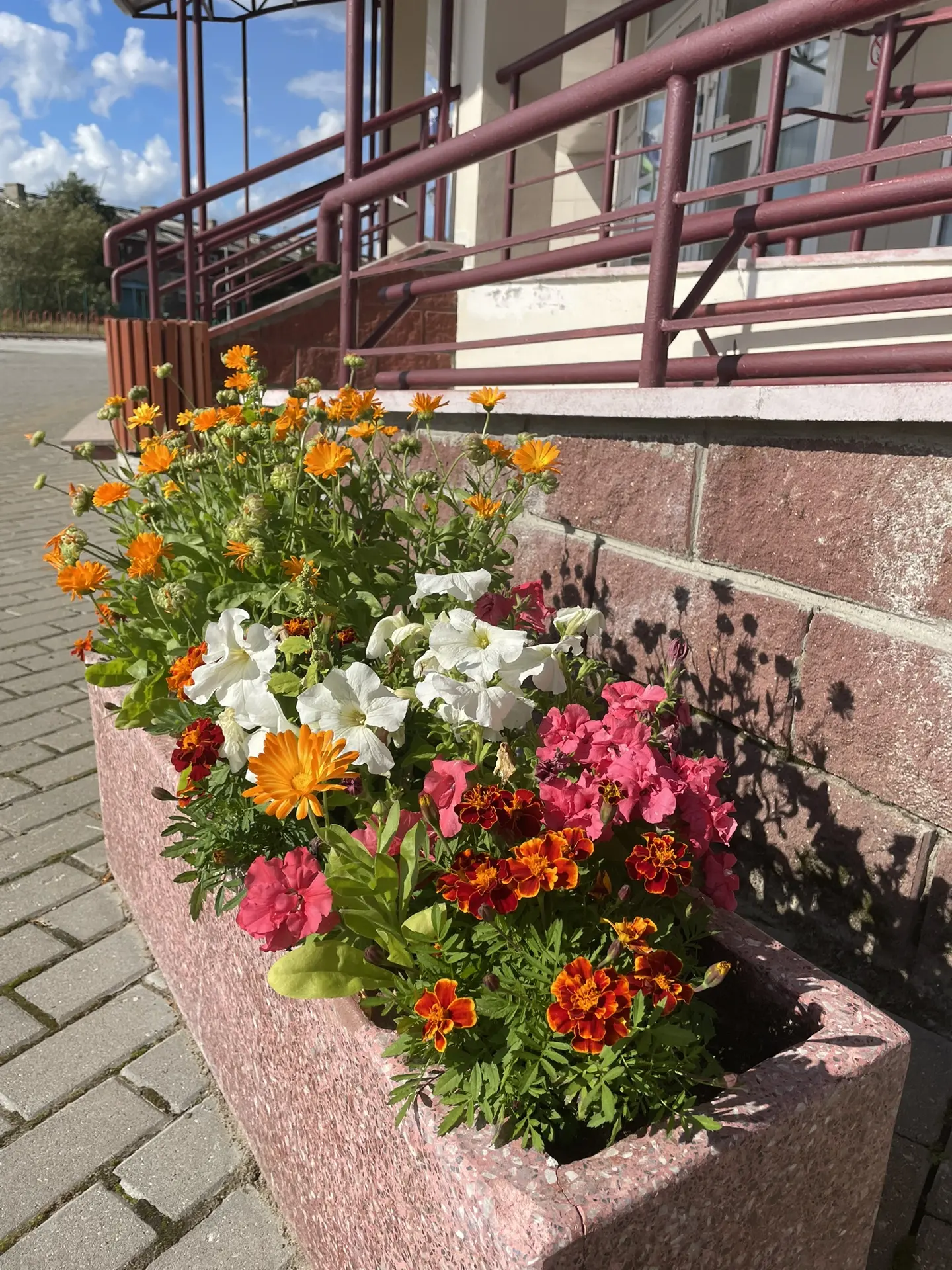 🌸 Красота, созданная нашими руками! 🌸
