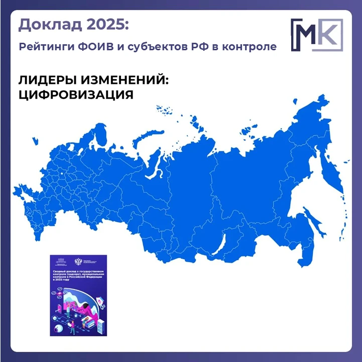 Доклад о госконтроле-2025