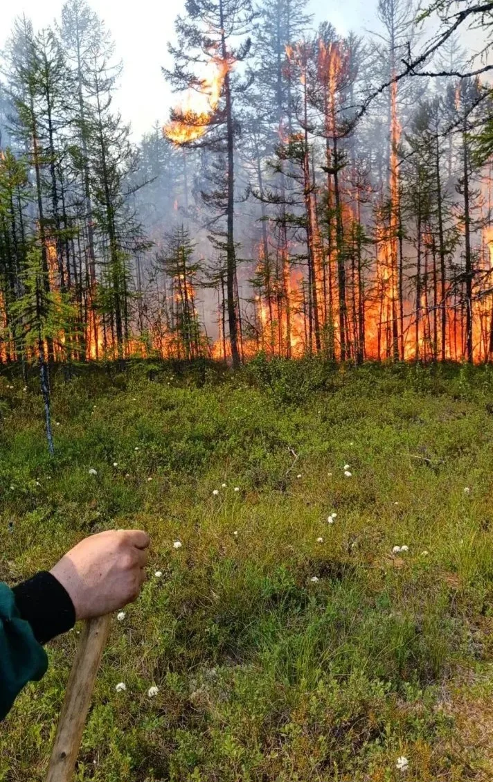 🌲В Бурятии сохраняется стабильная лесопожарная обстановка. За прошедшие сутки новых ле...