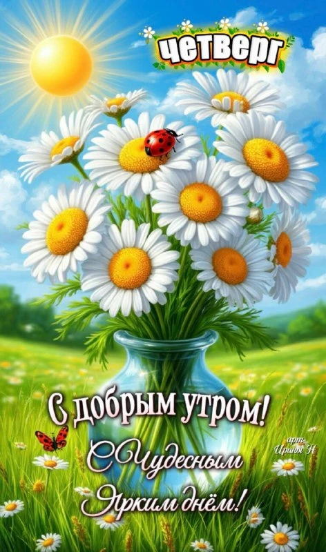 🌼Прикольные открытки