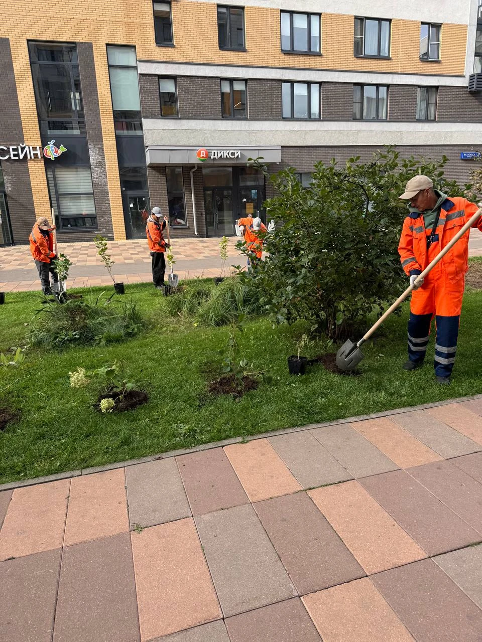 Продолжается акция по озеленению нашего района, которая запущена в прошлое воскресенье ...