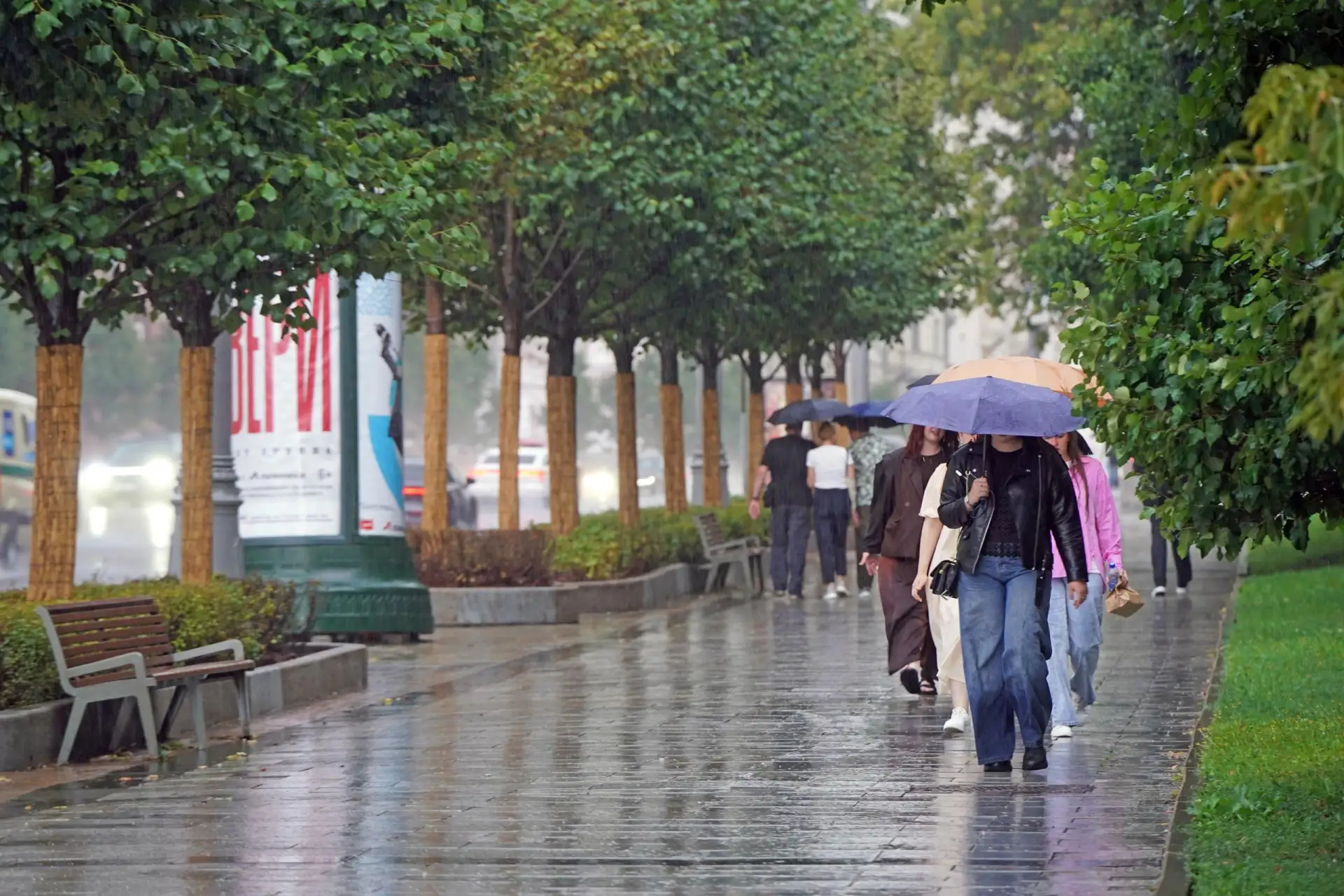 🌧 Ближайшие дни в Москве будут теплыми, но дождливыми.