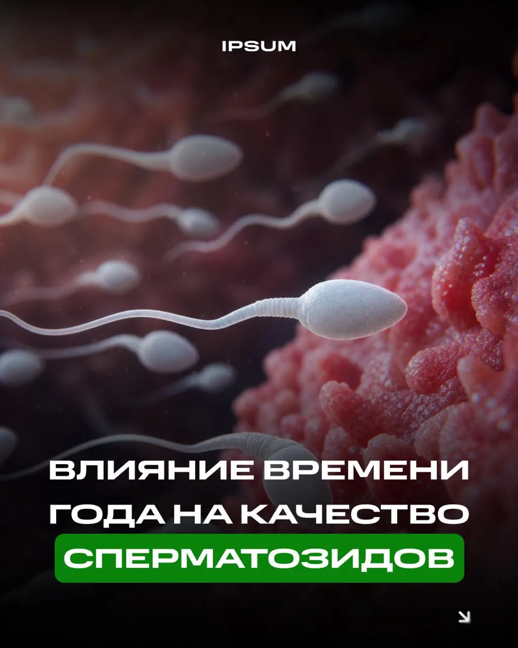 Лето лучшее время для зачатия

Исследование Reproductive Biology (2026) подтвердило четкий биоритм: 