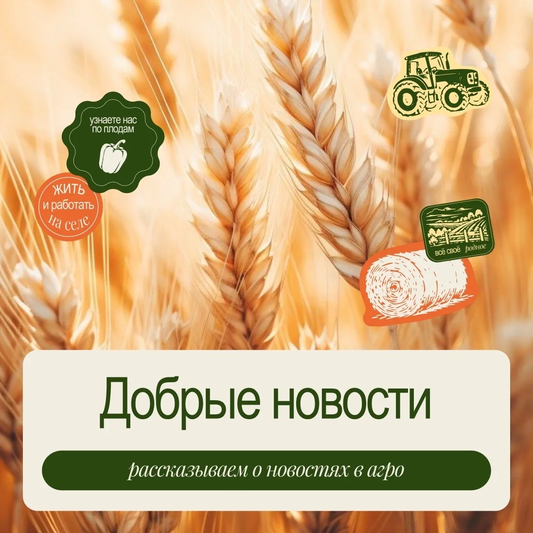 Собрали для вас свежие новости аграрной отрасли🌱