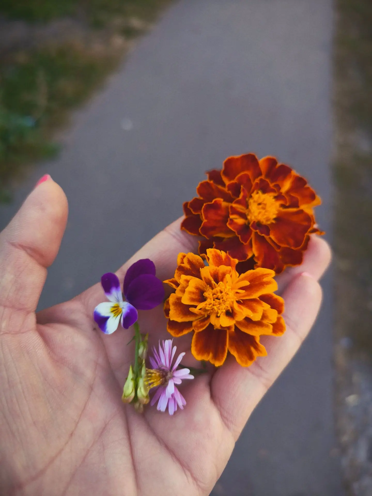 Положа руку на сердце, скажу честно: сегодня день — галопом по Европам 🤪 Даже сообщени...