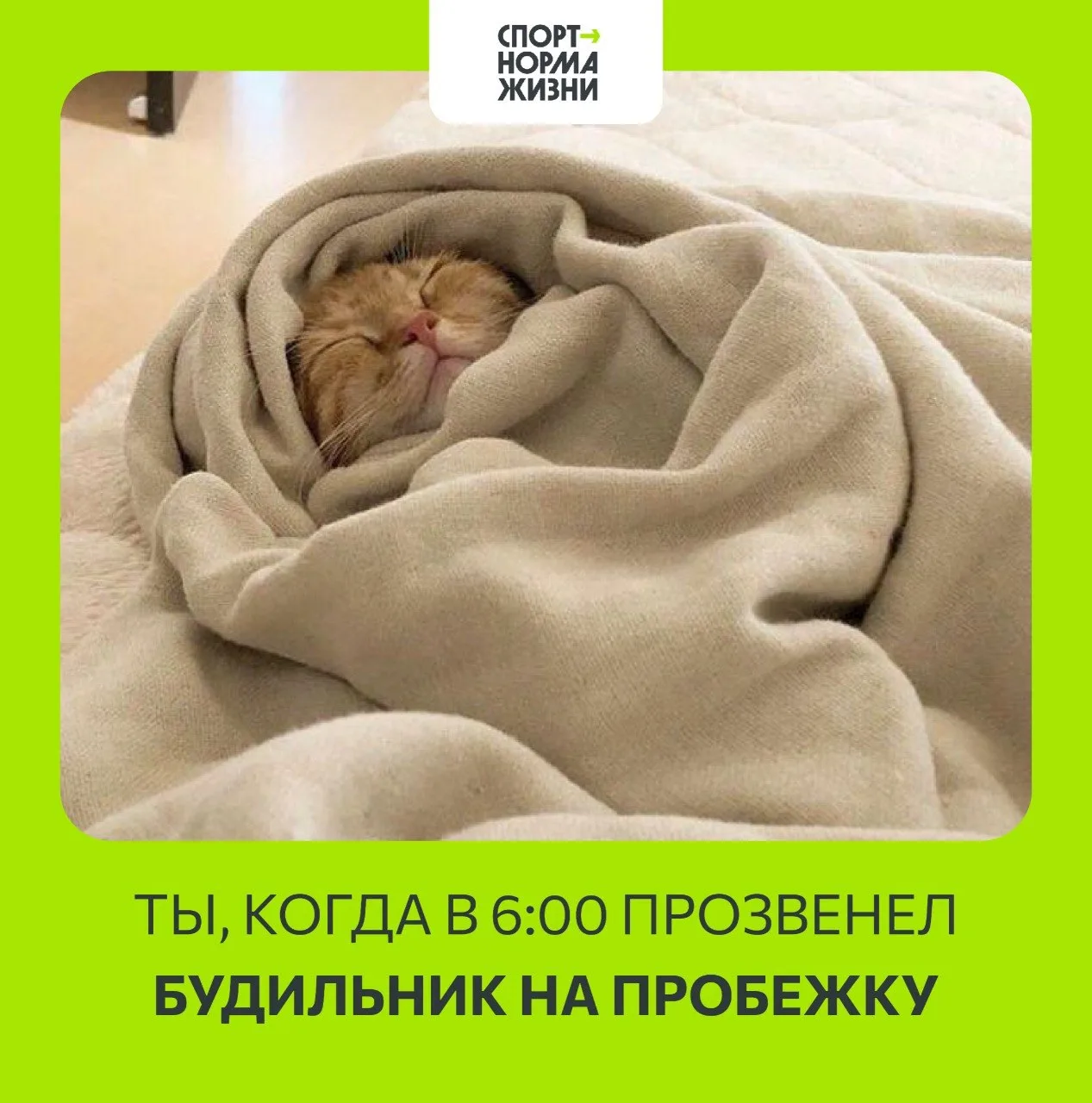 Спорим, вы узнаете себя в этом меме на 100%! Ставьте ❤️, если «да»