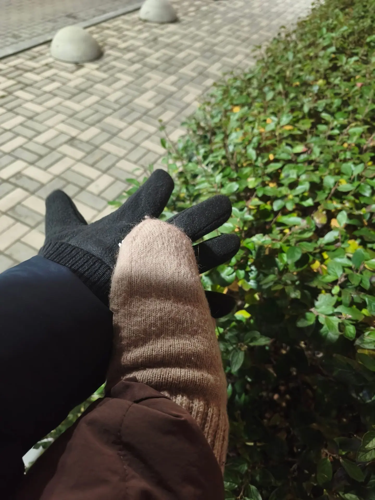 ❄️ Сезон вечерних прогулок в варежках официально открыт! 🙈