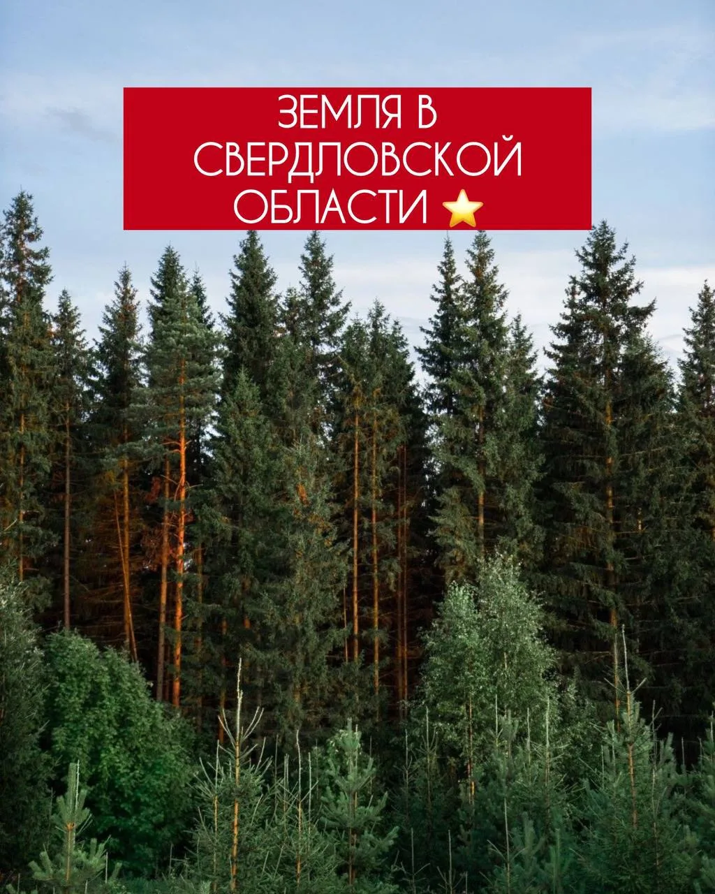 ЗЕМЛЯ В СВЕРДЛОВСКОЙ ОБЛАСТИ ⭐️