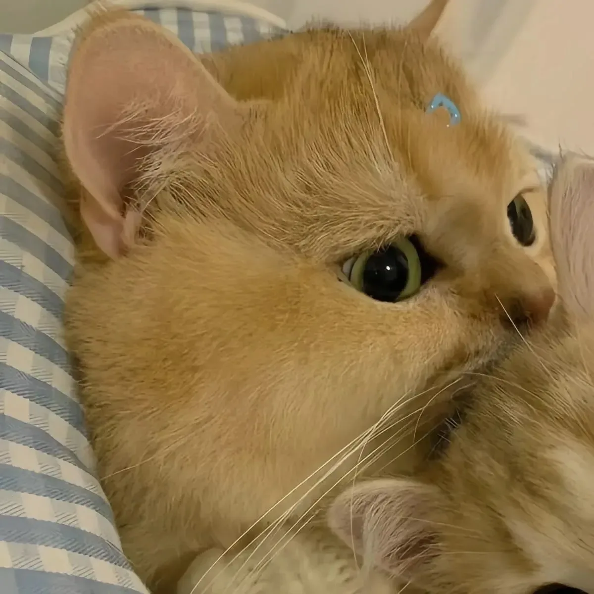 ❤️ - поставим