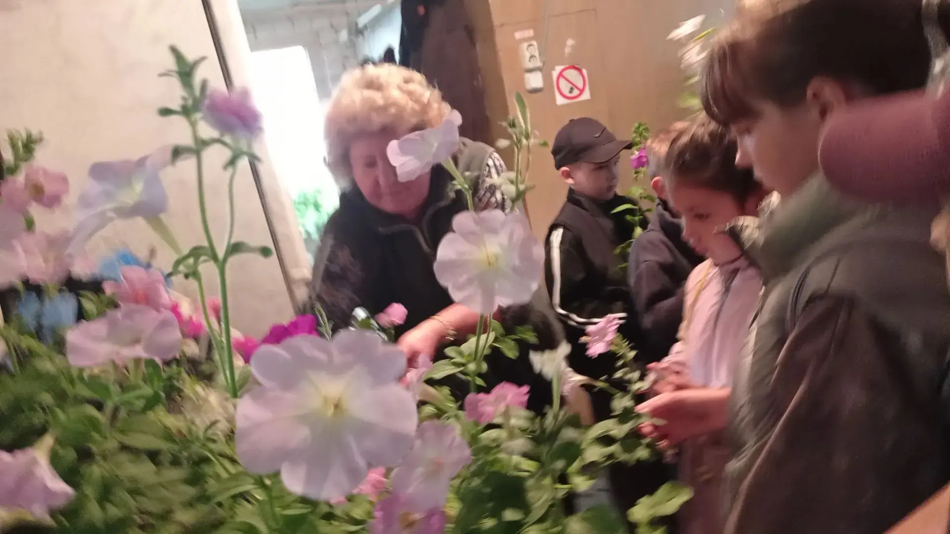 🌱 Сегодня  в нашем лагере состоялась экскурсия в теплицу МУП «Зелёный город». 
🍅 Работники теплицы