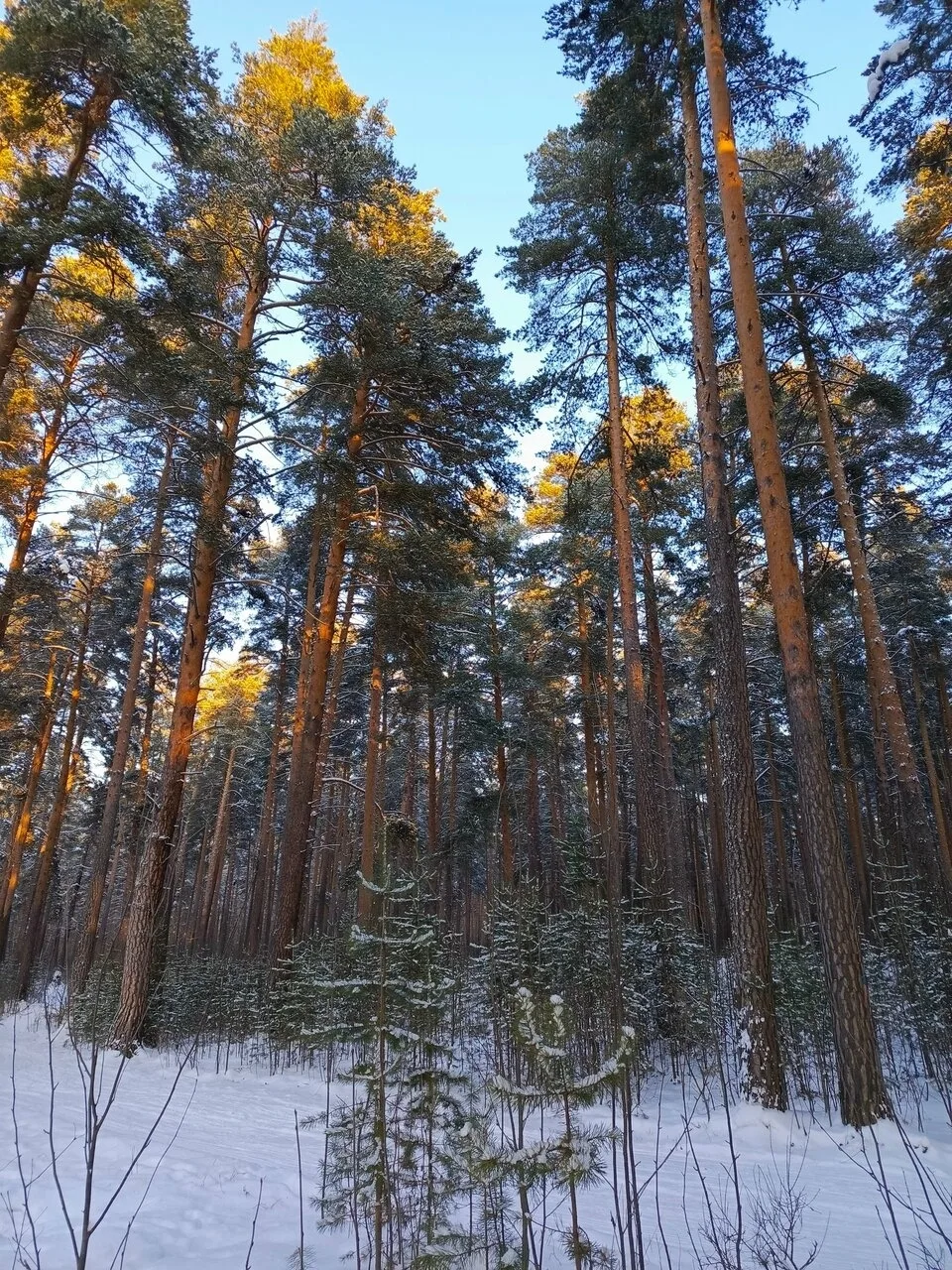 Присылайте Ваши фото в "Предложить пост"