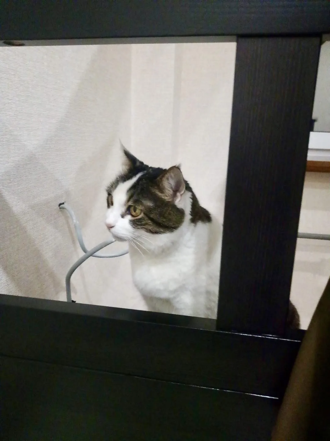 Ору 🤣   Мастер, который устанавливал нам мебель крупную и мелкую 5 лет назад, прислал сегодня фото: 