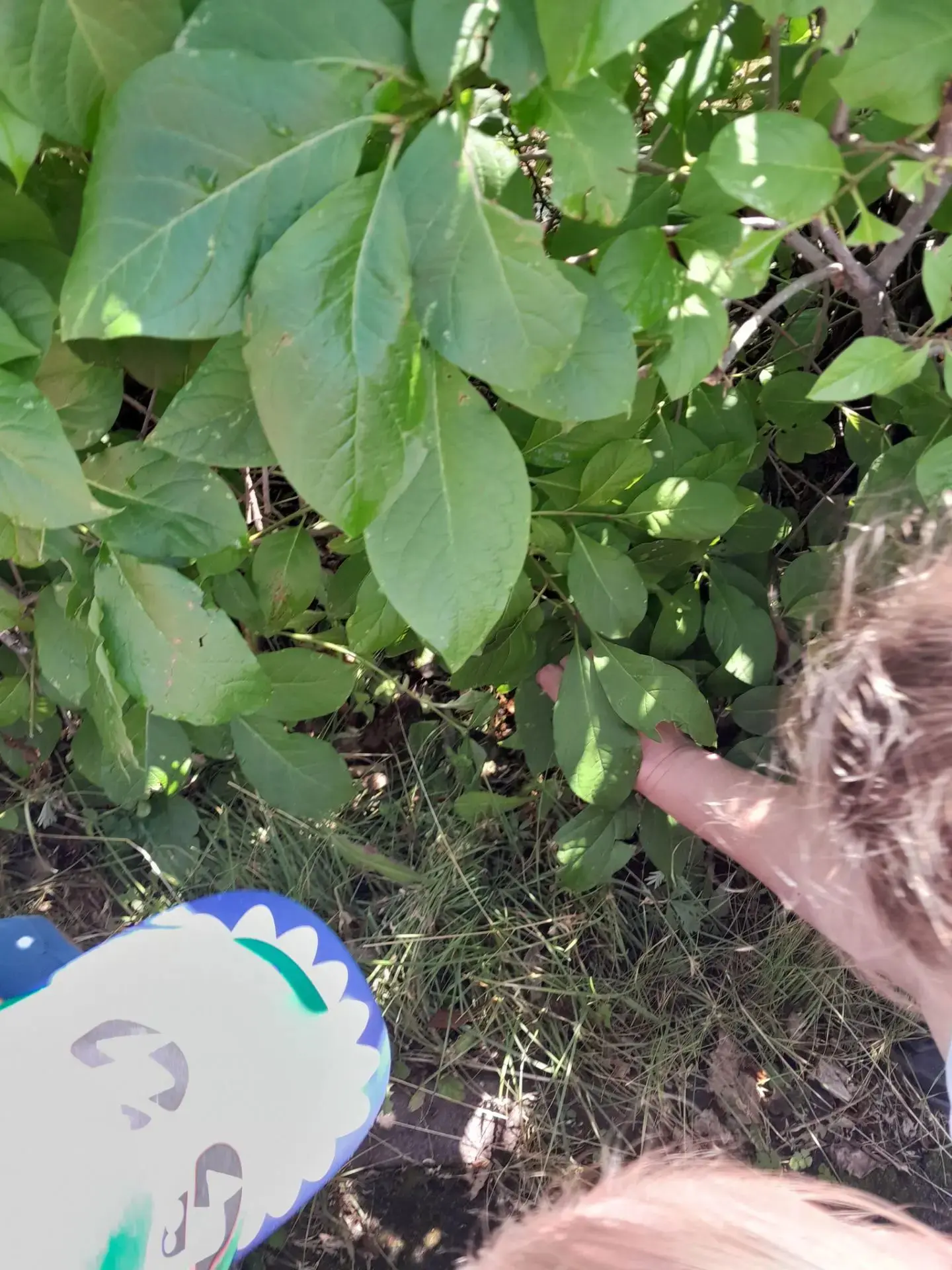 🐌 Маленькая встреча — большое открытие!🐌

Сегодня на прогулке случилось настоящее приключение! Наш