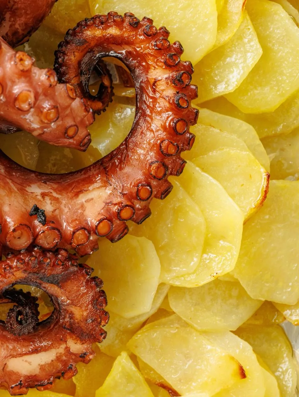 Осьминожные дела 🐙

В AGA Restaurant появилось сезонное блюдо, ради которого хочется забронировать 