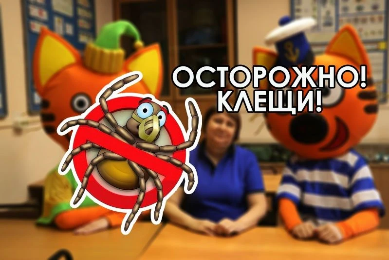 Вы знали, что клещи не прыгают с деревьев?
